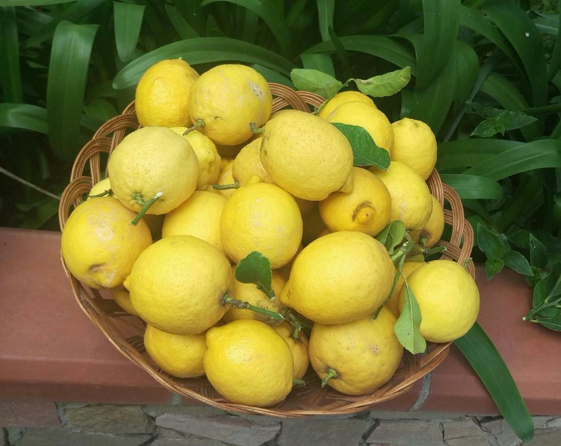 Вилла I Limoni Del Sud Sardegna Ассемини Экстерьер фото